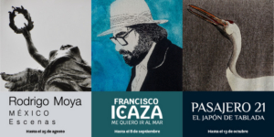 Gran oferta cultural en la Noche de museos de julio en el Museo del Palacio de Bellas Artes  Image