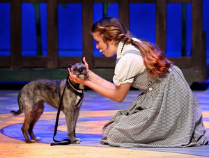 Review: WIZARD OF OZ at Theatre In The Park  Image