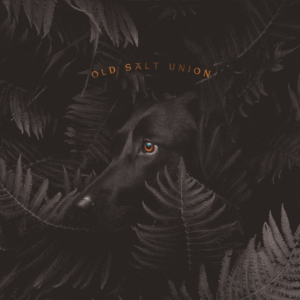 Old Salt Union Shares Third Song Off of New Album 