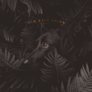 Old Salt Union Shares Third Song Off of New Album Image