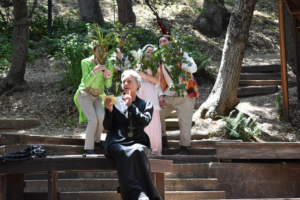 Review: Shakespeare's TWELFTH NIGHT Offers Songs of Love and Laughter in the Beautiful Woods at Theatricum Botanicum 