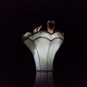 EDINBURGH 2019: Review: SWALLOW THE SEA CARAVAN THEATRE, Summerhall Image