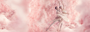 The Australian Ballet Presents THE NUTCRACKER In Melbourne, Adelaide and Sydney Image