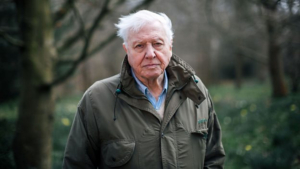 Sir David Attenborough Returns to BBC One with EXTINCTION Image