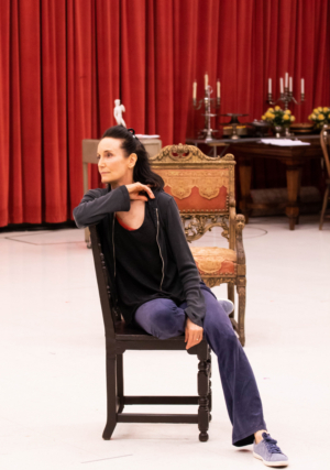 The Goodman's BERNHARDT/HAMLET Begins Performances September 14th  Image