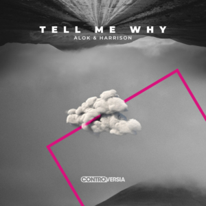 Alok Teams Up With Harrison On Bronski Beat-Sampled Track 'Tell Me Why' Image