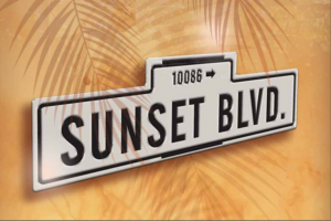 SUNSET BOULEVARD Comes to the John Engeman Theater  Image