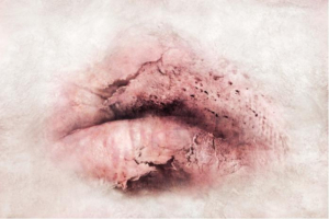 Body Politic Exhibition Opens 9/12 At NYU Kimmel Gallery Image