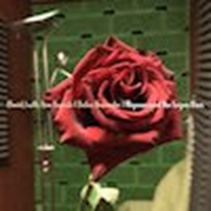 New Single From Bauhaus' David J Image
