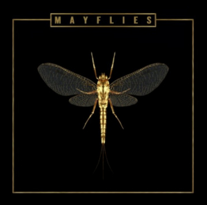 The Bergamot's New Album 'Mayflies' Out Now Image
