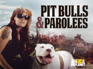 PIT BULLS & PAROLEES Returns to Animal Planet This October 