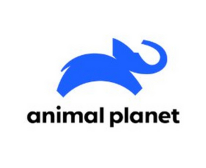 Animal Planet Acquires Worldwide Television Rights to Documentary Film WATSON Image