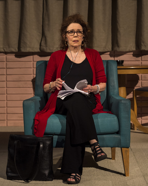 Review: DANA H. at Goodman Theatre Image