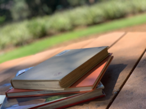 BWW Blog: Expanding My Horizons Image