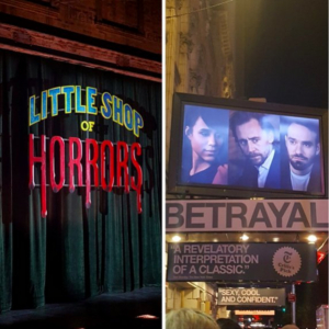 BWW Blog: The Privilege of Stage Dooring Image
