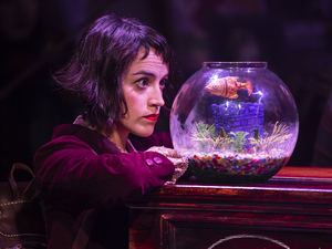Review: AMELIE THE MUSICAL, Nuffield Southampton Theatres Image