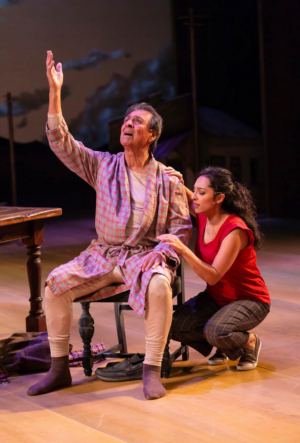 Review Roundup: What Did Critics Think of QUIXOTE NUEVO at Hartford Stage? 