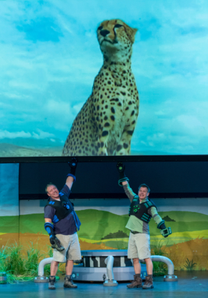 Tickets On Sale Now For Wild Kratts Live 2.0 at Wharton Center Image