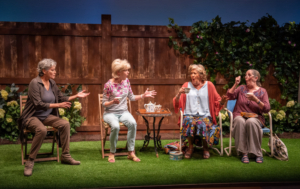 Review: ESCAPED ALONE at Signature Theatre 