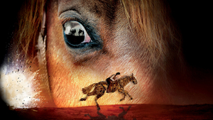 Interview: Scott Miller talks WAR HORSE as it extends its journey to Australia in 2020.  Image