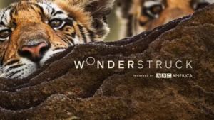 BBC America Announces the Launch of Micro-Net WONDERSTRUCK Image