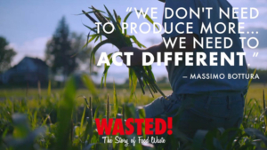 WASTED! THE STORY OF FOOD WASTE to be Presented at Gold Coast International Film Festival 