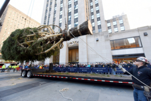 Family Activities Accompany the Arrival of the 2019 Rockefeller Center Christmas Tree  Image