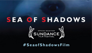 SEA OF SHADOWS Premieres on National Geographic Nov. 9  Image