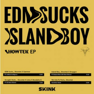 Showtek Teams Up With Gammer on New Single 'EDM Sucks' 