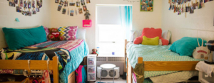 BWW Blog: Adjusting to College Life Away From Home Image