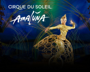 AMALUNA Heads to San Francisco, Extends Run in Sacramento  Image