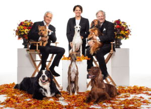 NBC to Broadcast the NATIONAL DOG SHOW on Thanksgiving Image