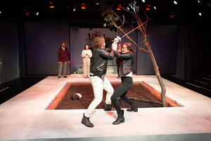 Review: HAMLET at Gloucester Stage Image
