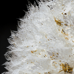 Houston Center for Contemporary Craft To Present Escaping Earth: The Kinetic Work of Casey Curran Image