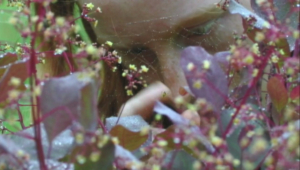 MY FIRST KISS AND THE PEOPLE INVOLVED Will Premiere Digitally Nov. 8 Image