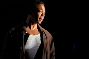 Review Roundup: FIRES IN THE MIRROR Off-Broadway - Read the Reviews Image