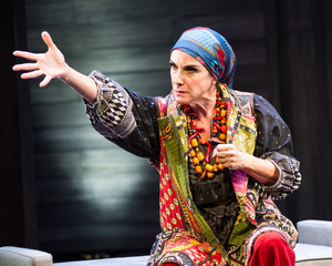 Review: EDWARD ALBEE'S OCCUPANT at Theater J Image
