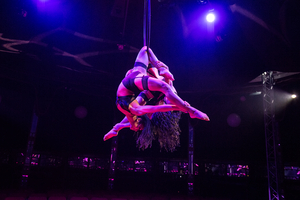 Review: LA CLIQUE, Leicester Square Spiegeltent Image