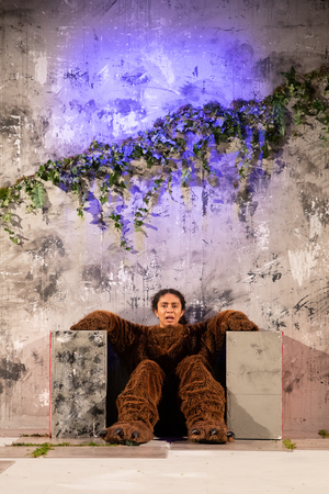 Review: I WILL STILL BE WHOLE (WHEN YOU RIP ME IN HALF)/BEFORE I WAS A BEAR, The Bunker Image