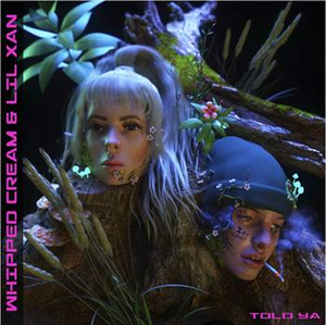 WHIPPED CREAM Teams Up with Lil Xan for 'Told Ya' Image