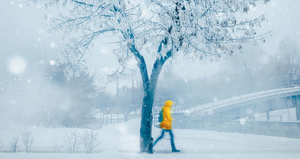 BWW Blog: When You Have The Winter Blues 