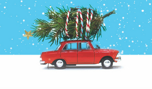 Review: THE LAST NOËL, Clapham Library Image