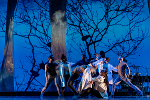 Interview: Nimbus Dance Works Brings Equity Home Image