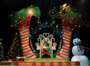 Review: THE SANTALAND DIARIES at Goodman Theatre Image