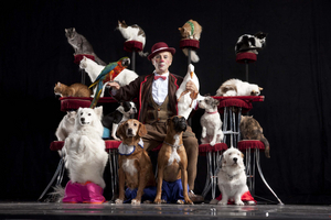 POPOVICH COMEDY PET THEATER Returns to the State Theatre In January 