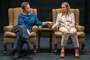 Review Roundup: THE THIN PLACE at Playwrights Horizons - What Did the Critics Think? Image
