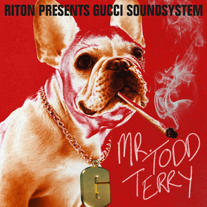 Riton Revives Gucci Soundsystem Project for New Single 'Mr Todd Terry' 