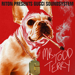 Riton Revives Gucci Soundsystem Project for New Single 'Mr Todd Terry' Image