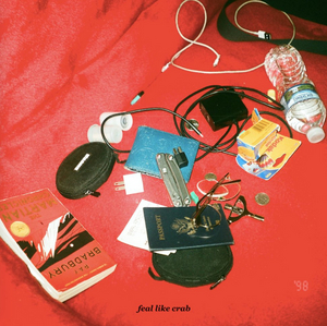 Hot Mulligan Share New Song 'Feal Like Crab' Image