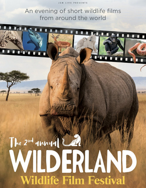 Wilderland Wildlife Film Festival Returns to UK and Ireland in Spring 2020  Image